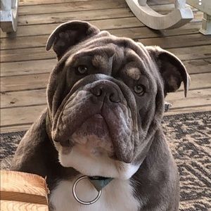 Meet your Posher, Andrew